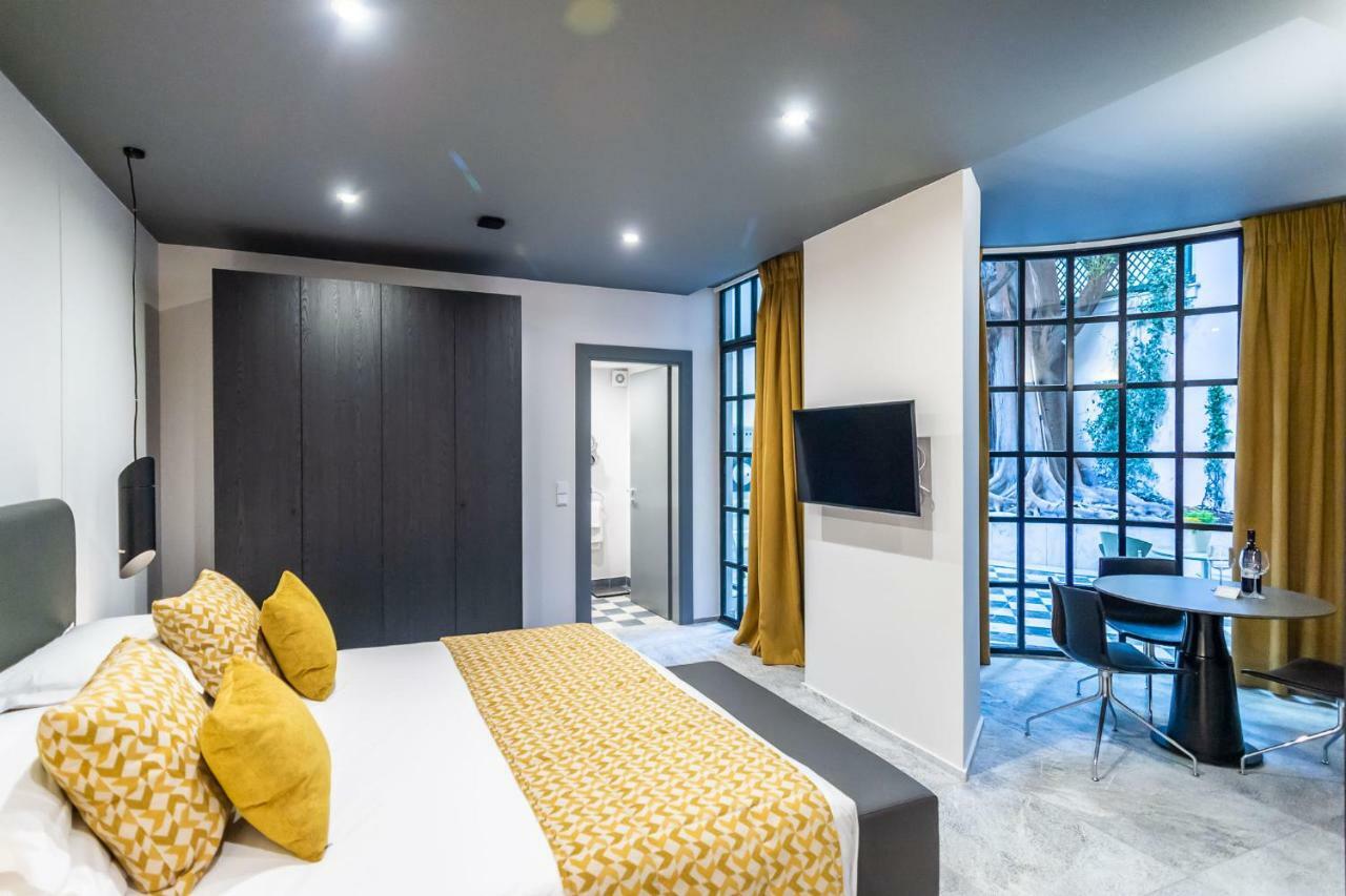 33Solonossuites Атина Стая снимка